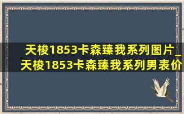 天梭1853卡森臻我系列图片_天梭1853卡森臻我系列男表价格