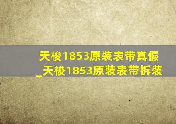 天梭1853原装表带真假_天梭1853原装表带拆装