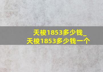 天梭1853多少钱_天梭1853多少钱一个