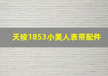 天梭1853小美人表带配件