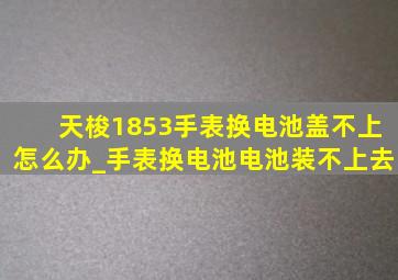 天梭1853手表换电池盖不上怎么办_手表换电池电池装不上去