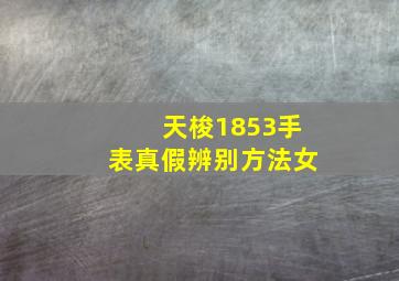 天梭1853手表真假辨别方法女