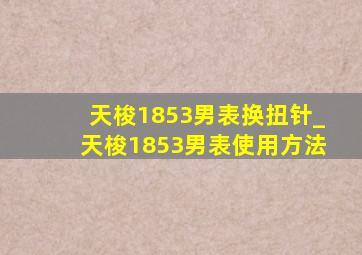 天梭1853男表换扭针_天梭1853男表使用方法