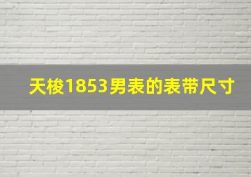 天梭1853男表的表带尺寸