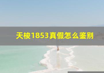 天梭1853真假怎么鉴别