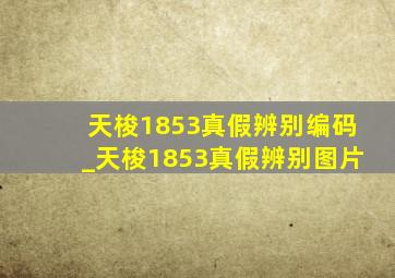 天梭1853真假辨别编码_天梭1853真假辨别图片