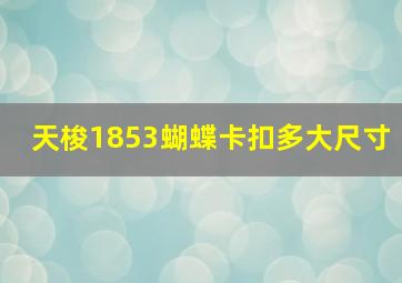 天梭1853蝴蝶卡扣多大尺寸