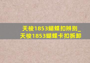 天梭1853蝴蝶扣辨别_天梭1853蝴蝶卡扣拆卸