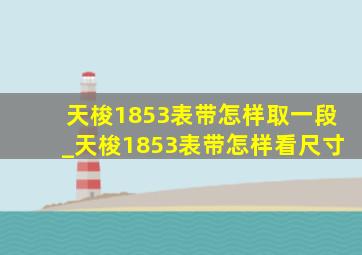 天梭1853表带怎样取一段_天梭1853表带怎样看尺寸