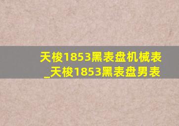 天梭1853黑表盘机械表_天梭1853黑表盘男表