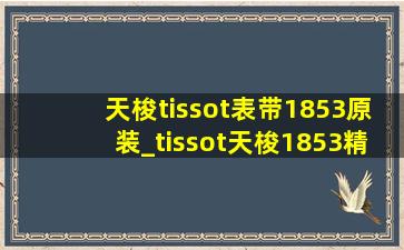 天梭tissot表带1853原装_tissot天梭1853精钢表带