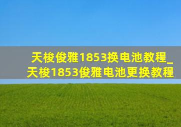 天梭俊雅1853换电池教程_天梭1853俊雅电池更换教程