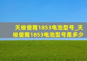 天梭俊雅1853电池型号_天梭俊雅1853电池型号是多少