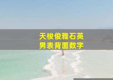 天梭俊雅石英男表背面数字