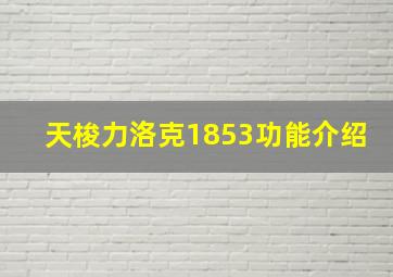 天梭力洛克1853功能介绍