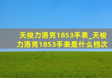 天梭力洛克1853手表_天梭力洛克1853手表是什么档次