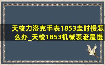 天梭力洛克手表1853走时慢怎么办_天梭1853机械表老是慢