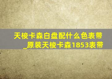 天梭卡森白盘配什么色表带_原装天梭卡森1853表带