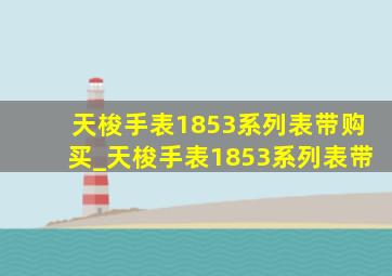 天梭手表1853系列表带购买_天梭手表1853系列表带