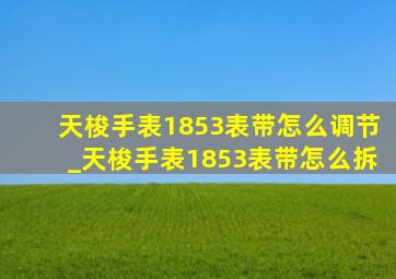 天梭手表1853表带怎么调节_天梭手表1853表带怎么拆