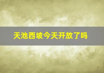 天池西坡今天开放了吗