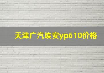 天津广汽埃安yp610价格