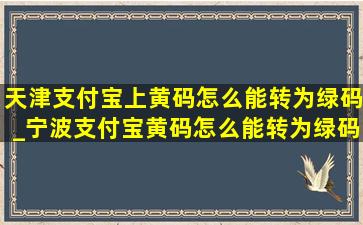 天津支付宝上黄码怎么能转为绿码_宁波支付宝黄码怎么能转为绿码