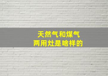 天然气和煤气两用灶是啥样的