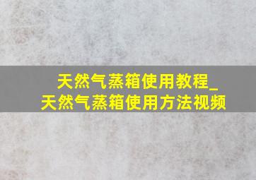 天然气蒸箱使用教程_天然气蒸箱使用方法视频