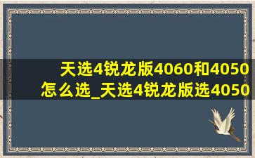 天选4锐龙版4060和4050怎么选_天选4锐龙版选4050还是4060好