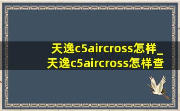 天逸c5aircross怎样_天逸c5aircross怎样查油耗