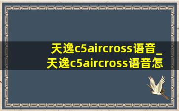 天逸c5aircross语音_天逸c5aircross语音怎么用