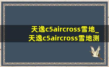 天逸c5aircross雪地_天逸c5aircross雪地测试