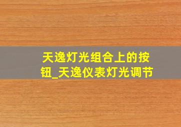 天逸灯光组合上的按钮_天逸仪表灯光调节