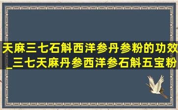 天麻三七石斛西洋参丹参粉的功效_三七天麻丹参西洋参石斛五宝粉