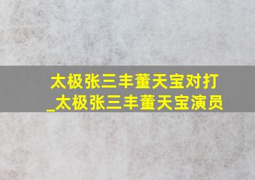 太极张三丰董天宝对打_太极张三丰董天宝演员