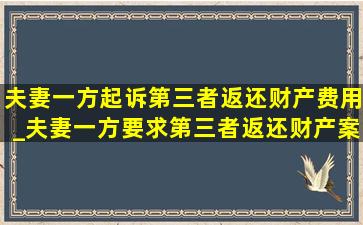 夫妻一方起诉第三者返还财产费用_夫妻一方要求第三者返还财产案例