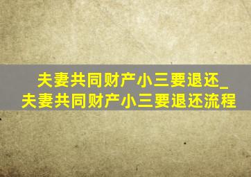 夫妻共同财产小三要退还_夫妻共同财产小三要退还流程