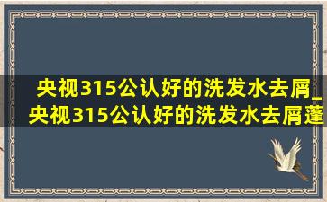 央视315公认好的洗发水去屑_央视315公认好的洗发水去屑蓬松