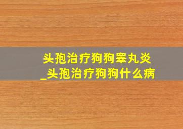 头孢治疗狗狗睾丸炎_头孢治疗狗狗什么病