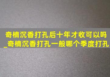 奇楠沉香打孔后十年才收可以吗_奇楠沉香打孔一般哪个季度打孔