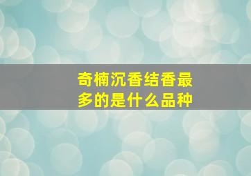 奇楠沉香结香最多的是什么品种