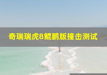 奇瑞瑞虎8鲲鹏版撞击测试