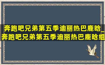 奔跑吧兄弟第五季迪丽热巴鹿晗_奔跑吧兄弟第五季迪丽热巴鹿晗组队