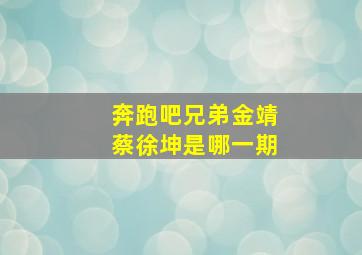 奔跑吧兄弟金靖蔡徐坤是哪一期