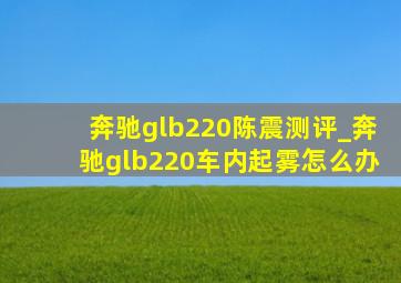 奔驰glb220陈震测评_奔驰glb220车内起雾怎么办