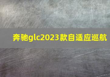 奔驰glc2023款自适应巡航