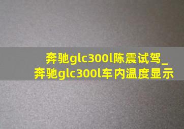 奔驰glc300l陈震试驾_奔驰glc300l车内温度显示