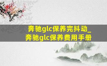 奔驰glc保养完抖动_奔驰glc保养费用手册