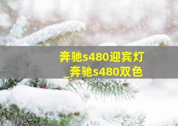 奔驰s480迎宾灯_奔驰s480双色